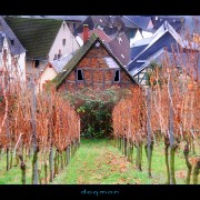 rudesheim01