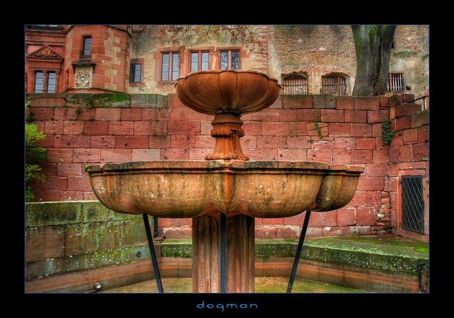 heidelberghdr03