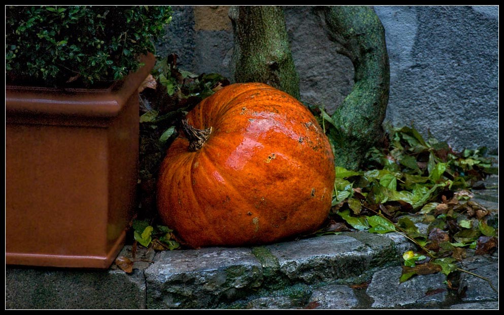 rothenburg07