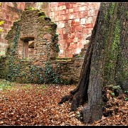 heidelberg11