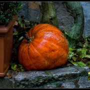 rothenburg07