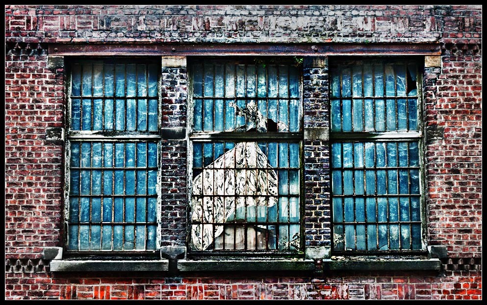 brussels1102