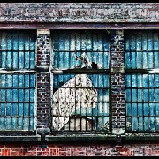 brussels1102