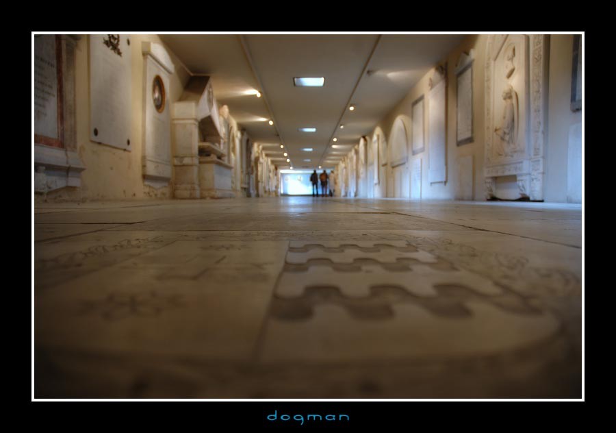 florence34