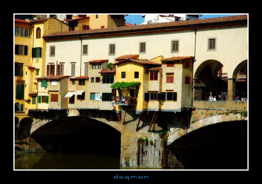florencebridge05
