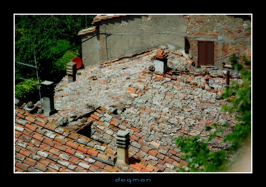 montepul09