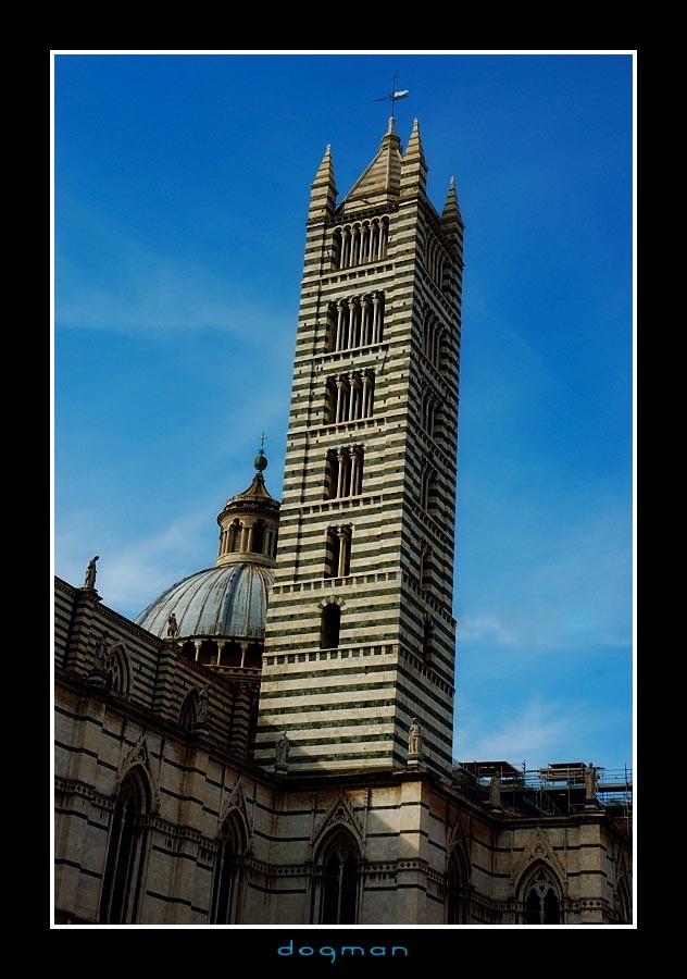 sienna04