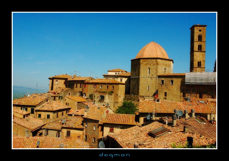 volterra01