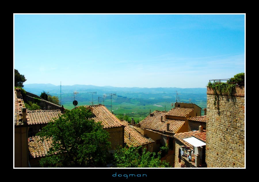 volterra02