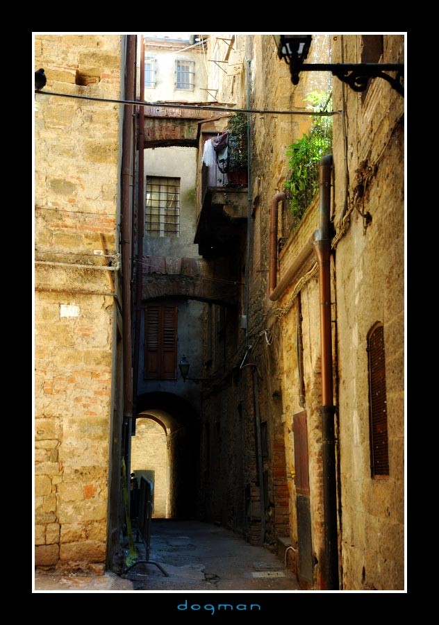 volterra06
