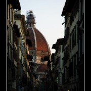 florence66