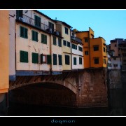 florencebridge03
