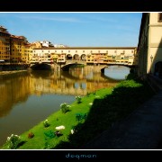 florencebridge04