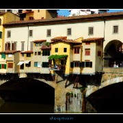 florencebridge05
