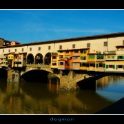 florencebridge07