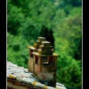 montepul08
