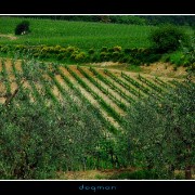 monteriggioni01