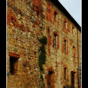 monteriggioni07
