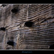 pienza01