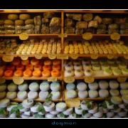pienza04