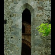 sangalgano08