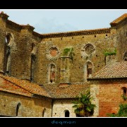 sangalgano11