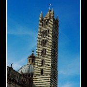 sienna04