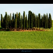 tuscancountry09