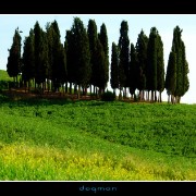 tuscancountry10