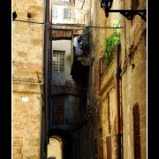 volterra06
