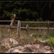 tombstone05