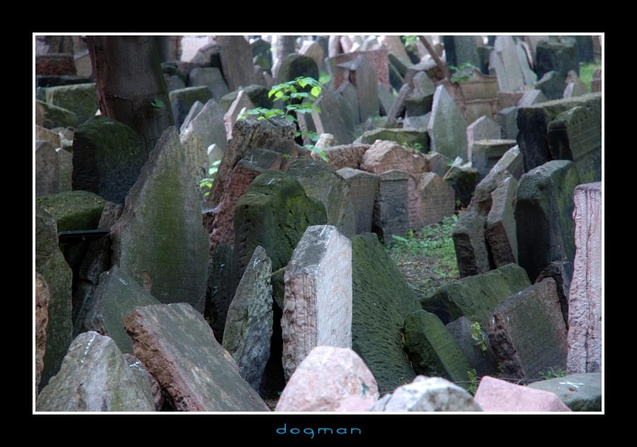 cemetery01