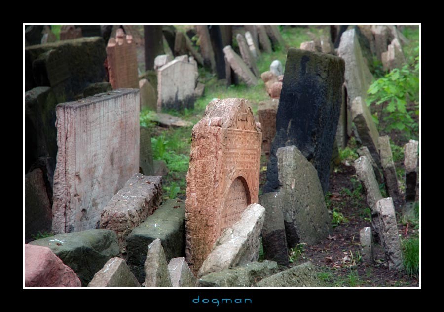 cemetery03