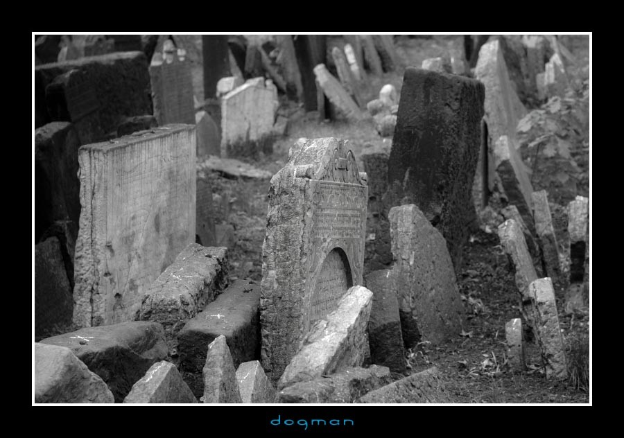 cemetery04