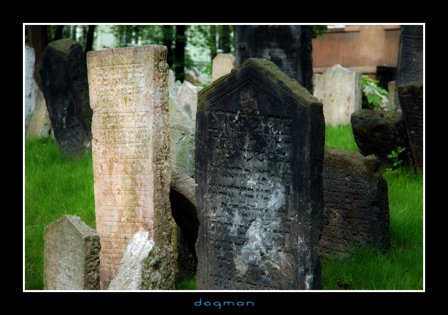 cemetery05