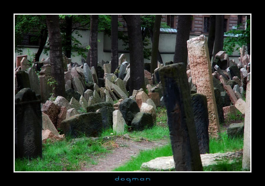 cemetery06