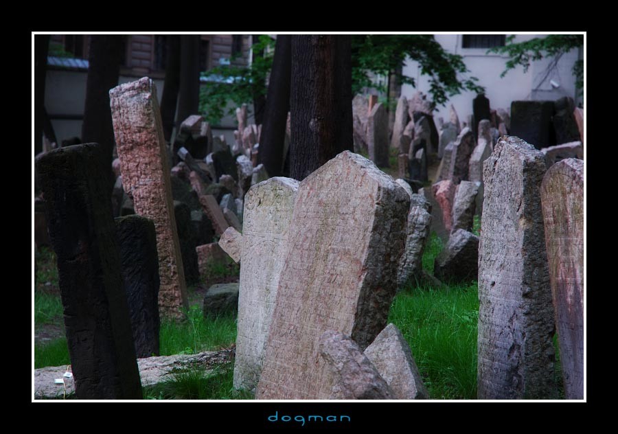 cemetery07
