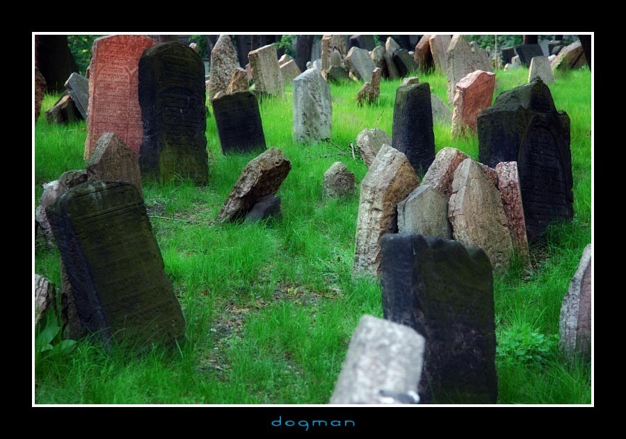 cemetery09