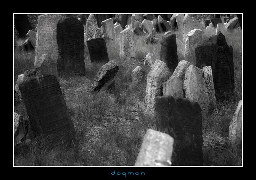 cemetery10