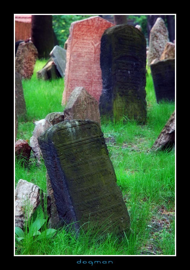 cemetery11