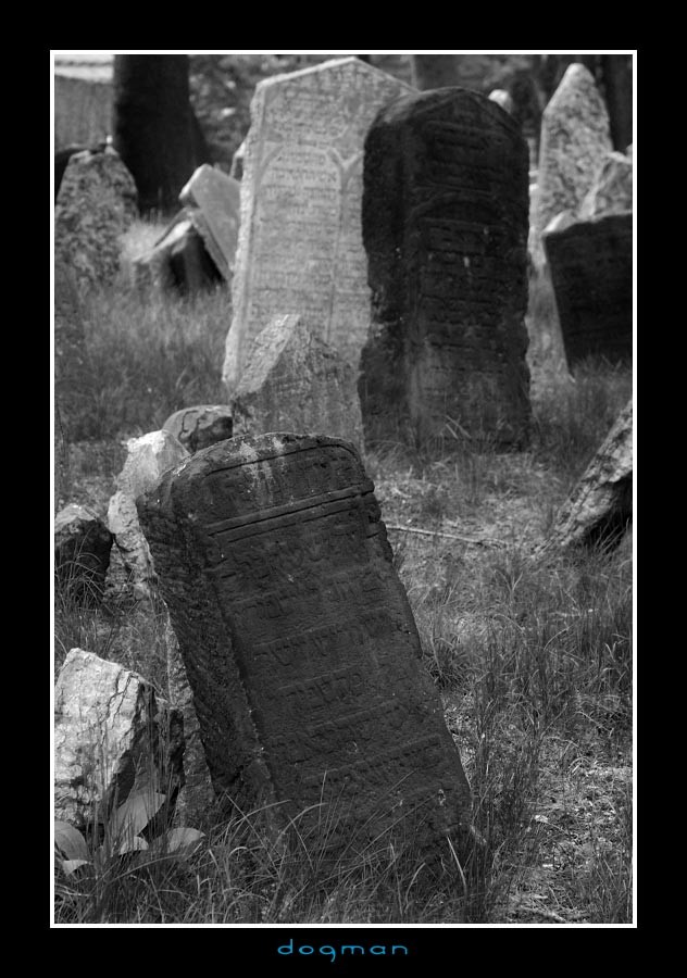 cemetery12