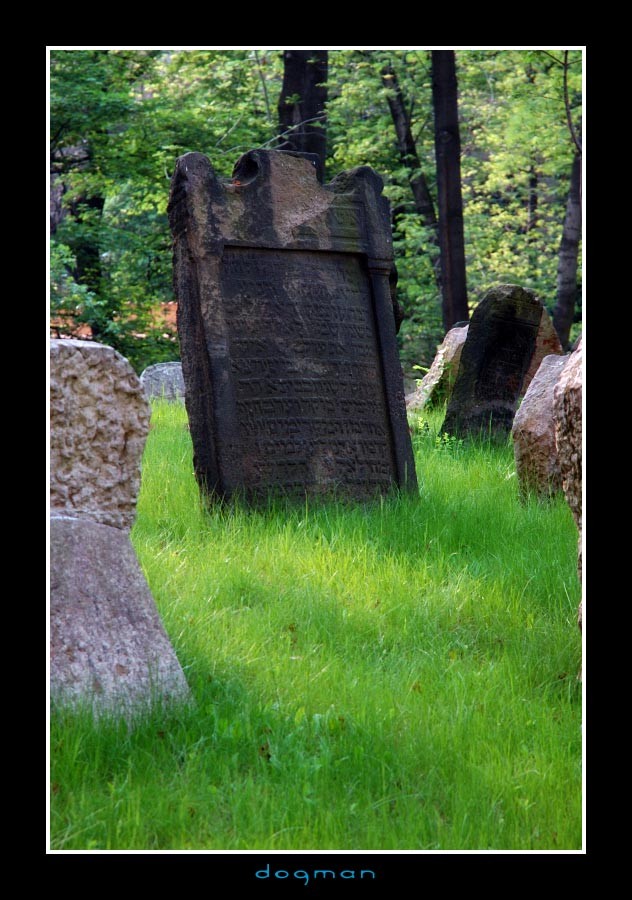 cemetery13