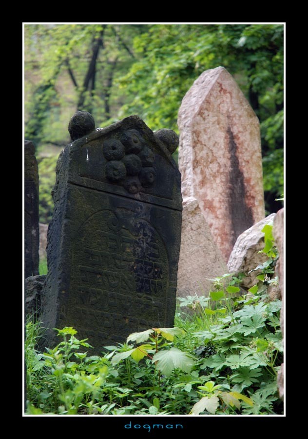cemetery16