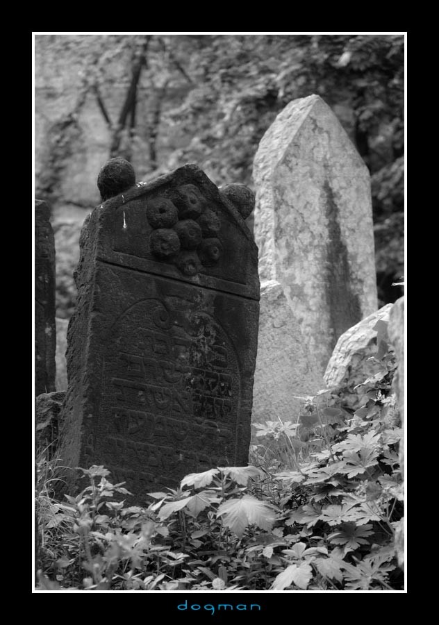 cemetery17