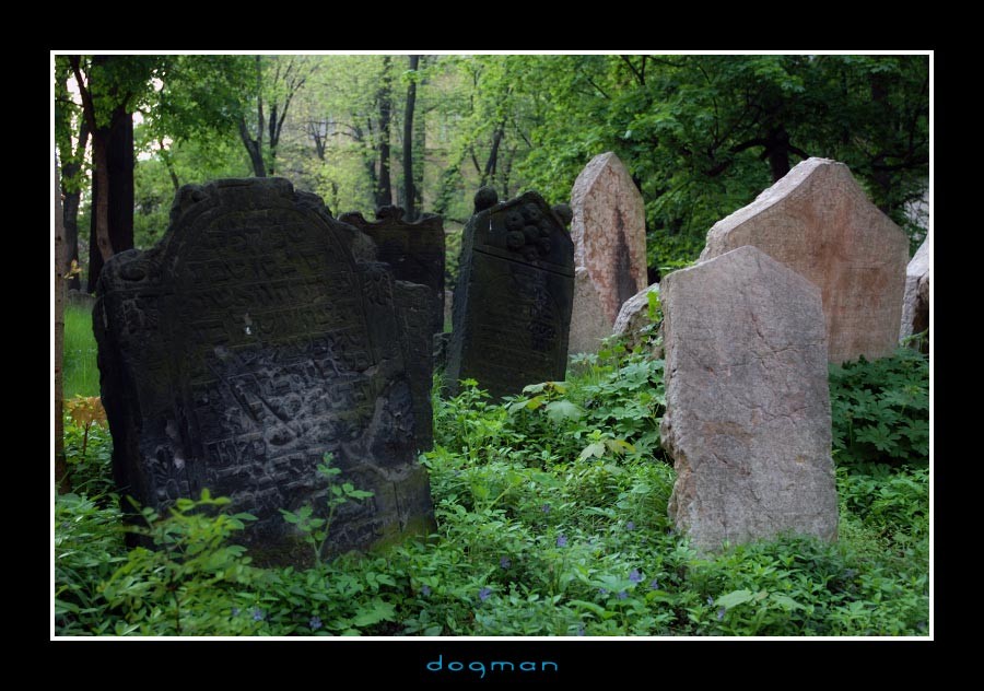 cemetery18