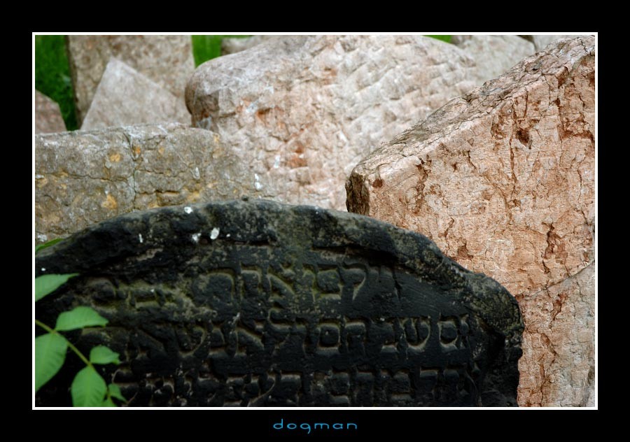 cemetery19
