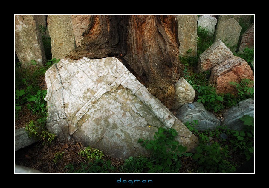 cemetery20