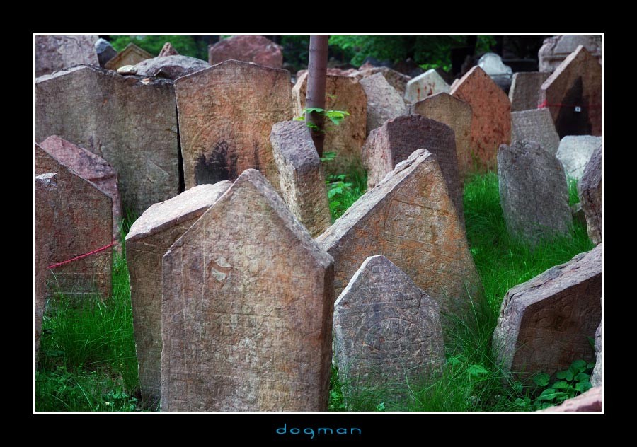 cemetery21
