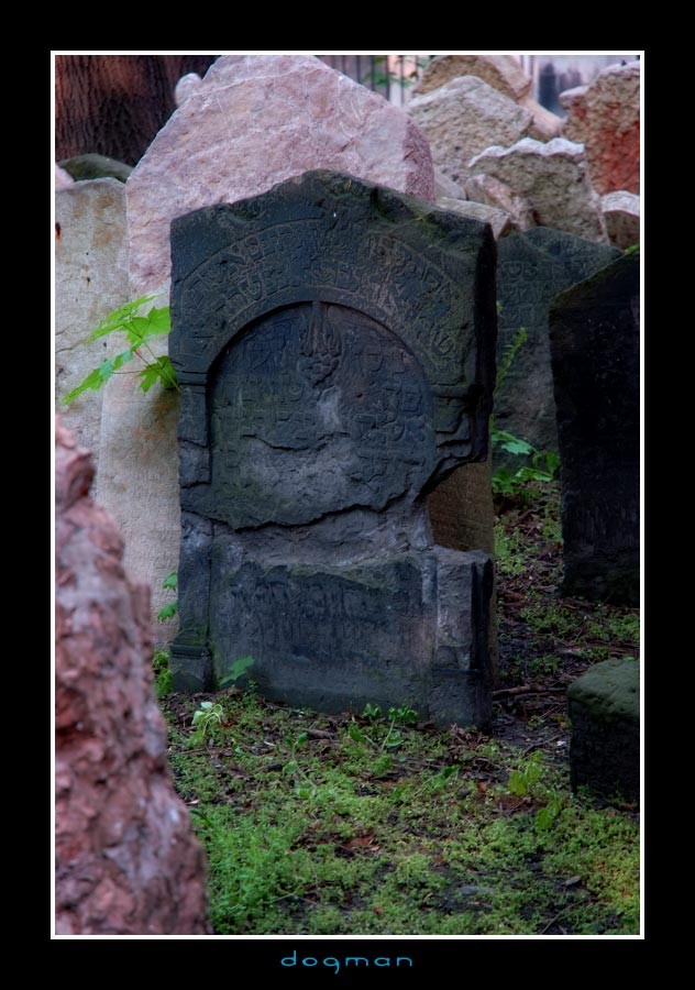 cemetery24