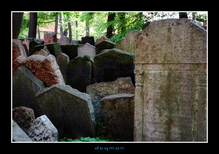 cemetery25